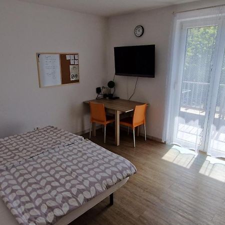 Daisy Apartment Ajdovščina エクステリア 写真