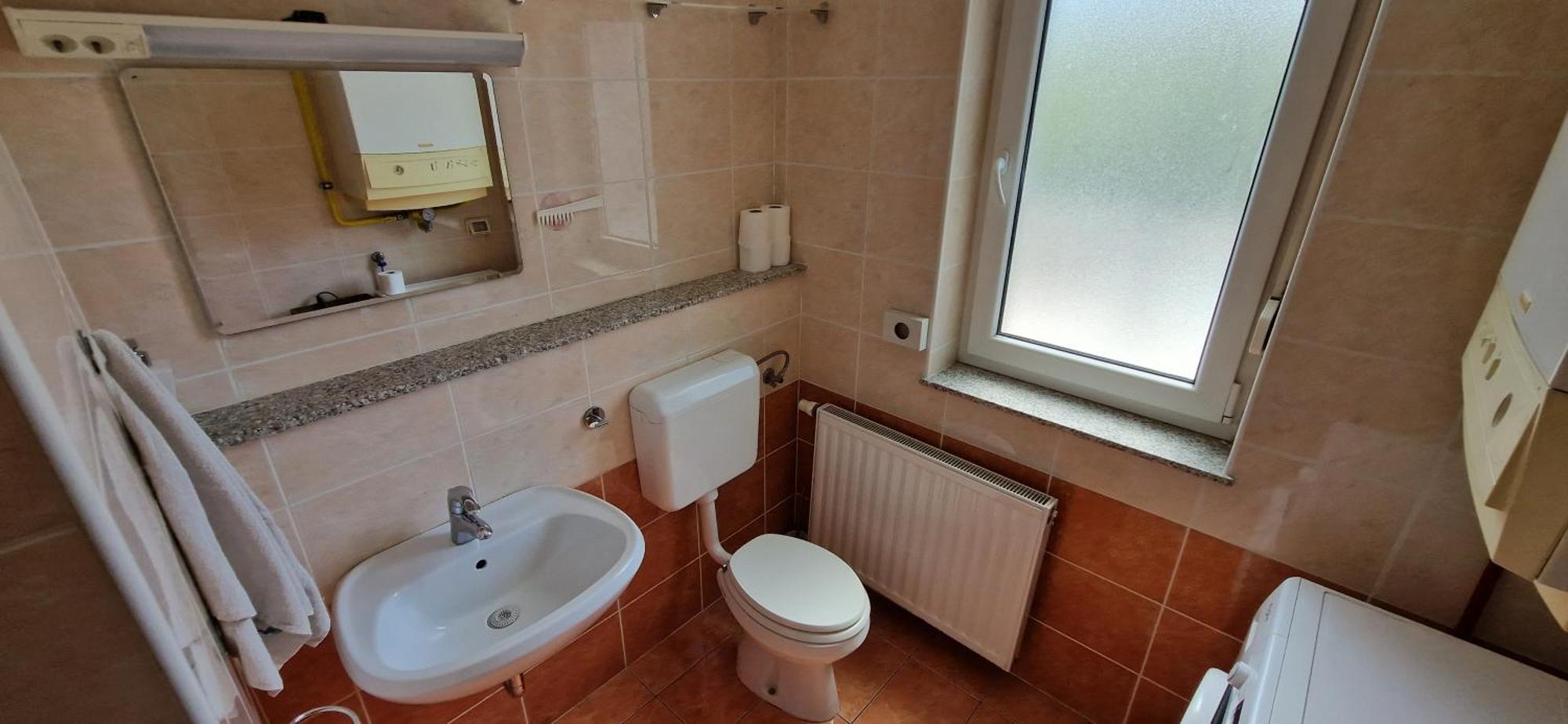 Daisy Apartment Ajdovščina エクステリア 写真